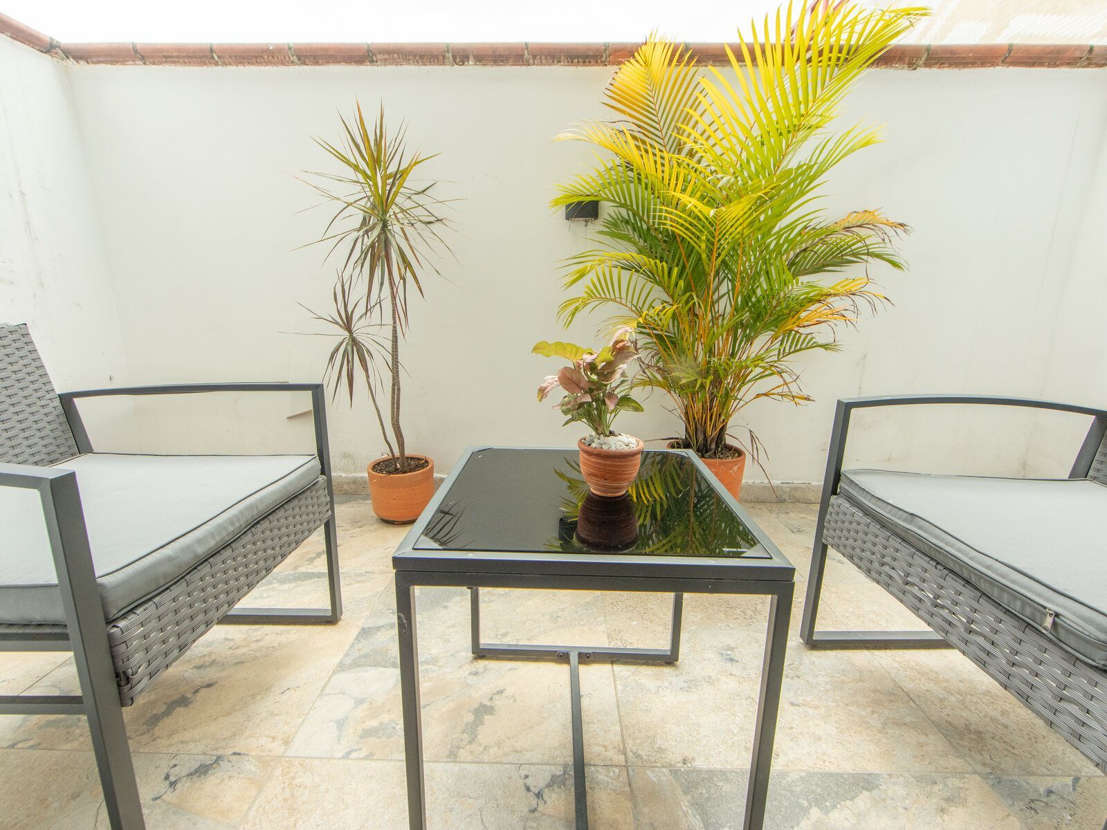 A patio with a glass table and armchairs under palms.