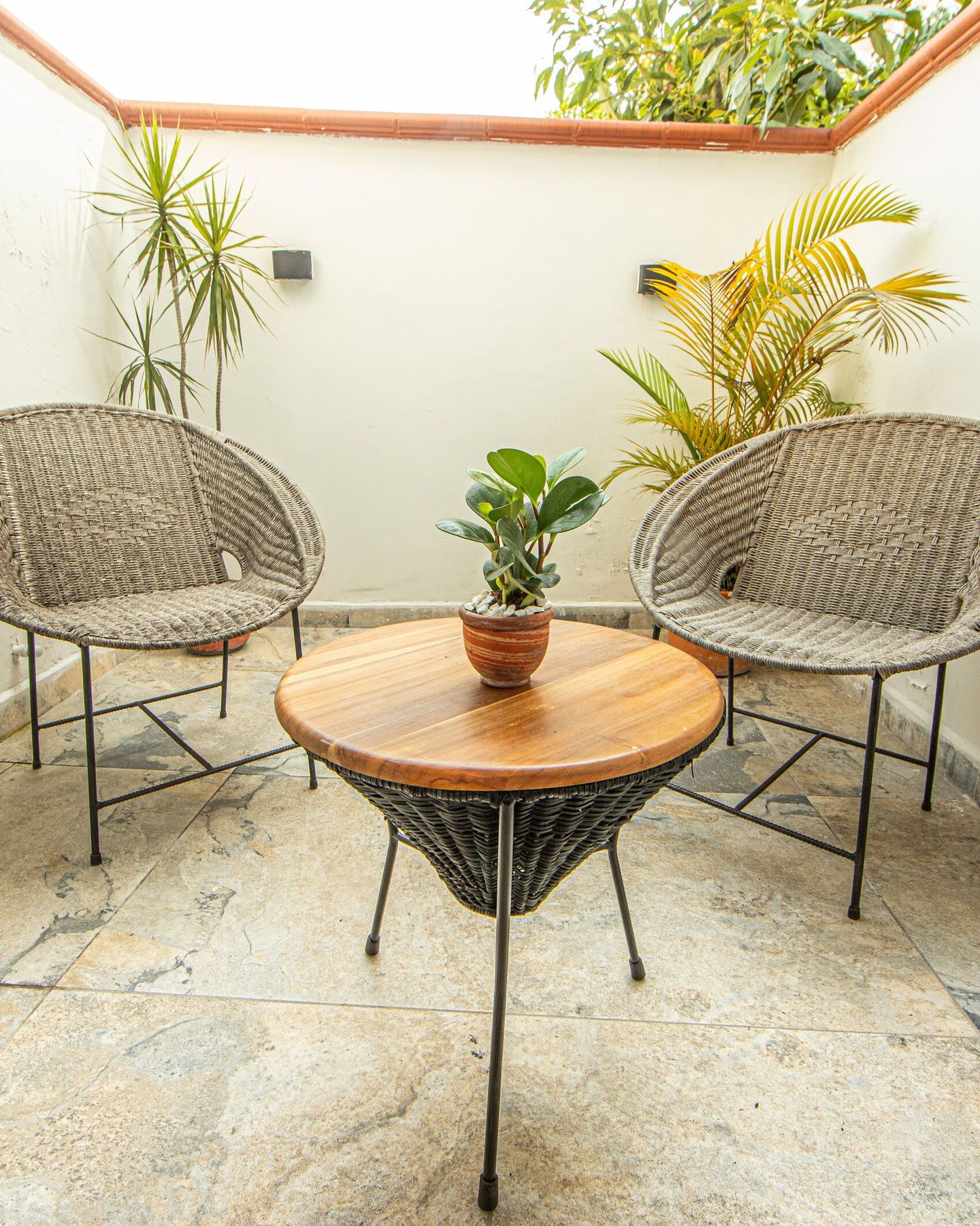 Two wicker chairs on a planted terrace.